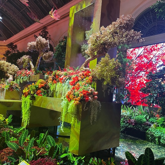 Meet your Posher, Rosa - Picture 2 of 3